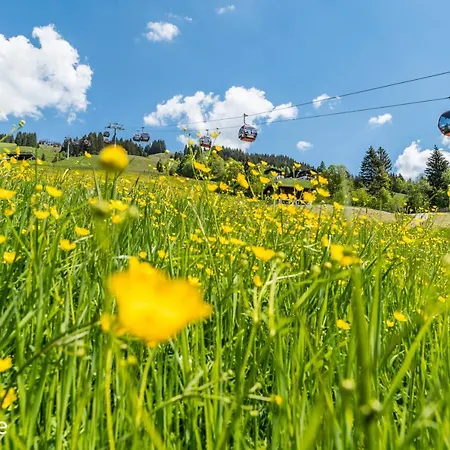 Bernhofer Saalbach-Hinterglemm